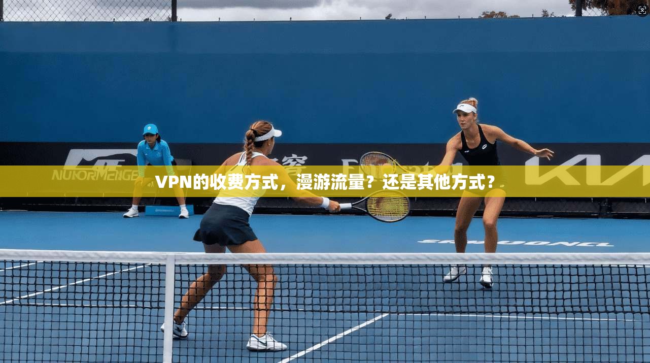 VPN的收费方式，漫游流量？还是其他方式？