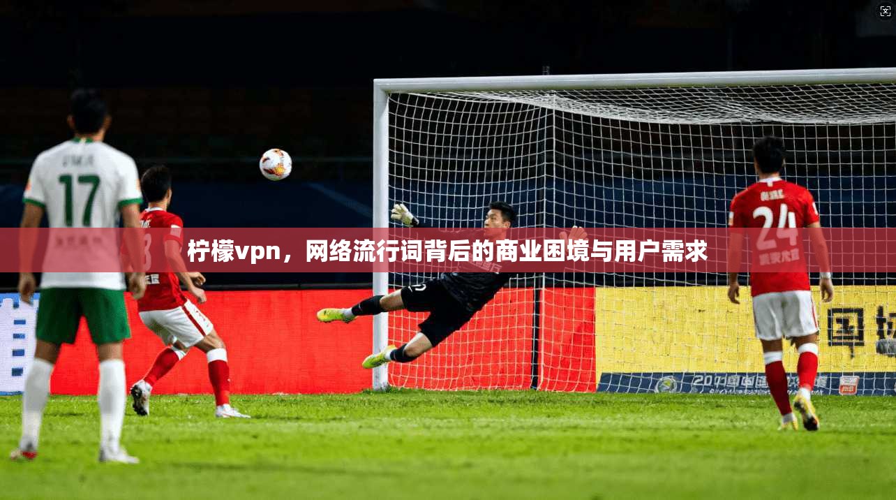 柠檬vpn，网络流行词背后的商业困境与用户需求