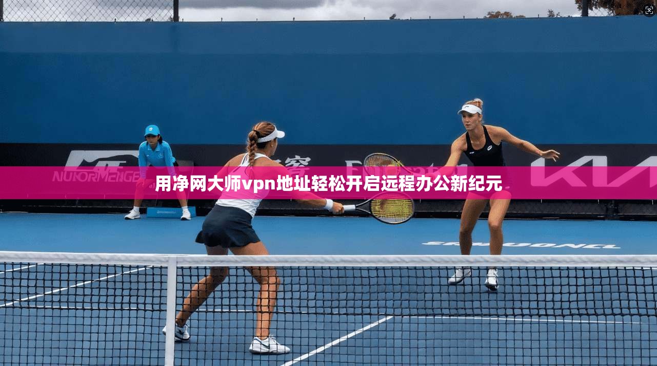 用净网大师vpn地址轻松开启远程办公新纪元