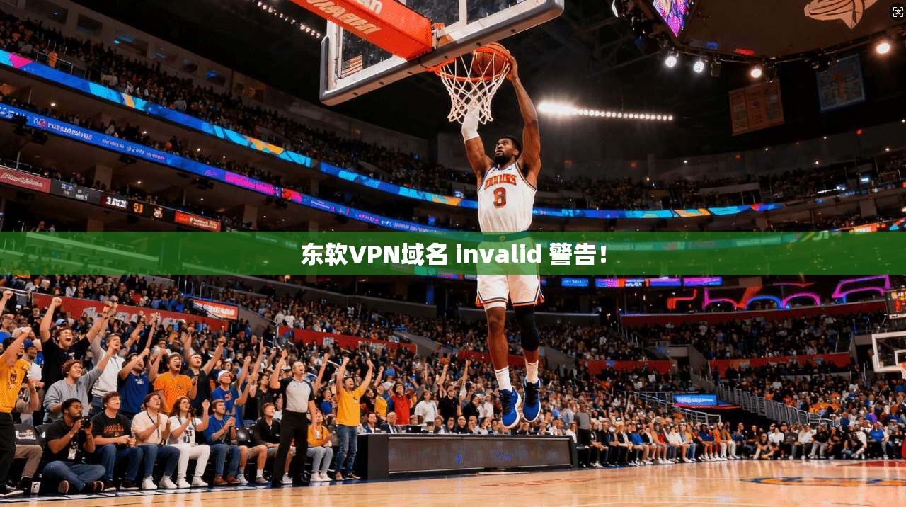 东软VPN域名 invalid 警告！