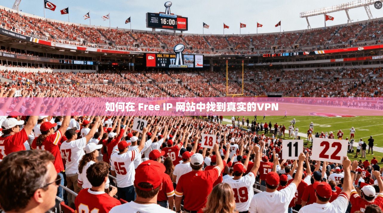 如何在 Free IP 网站中找到真实的VPN