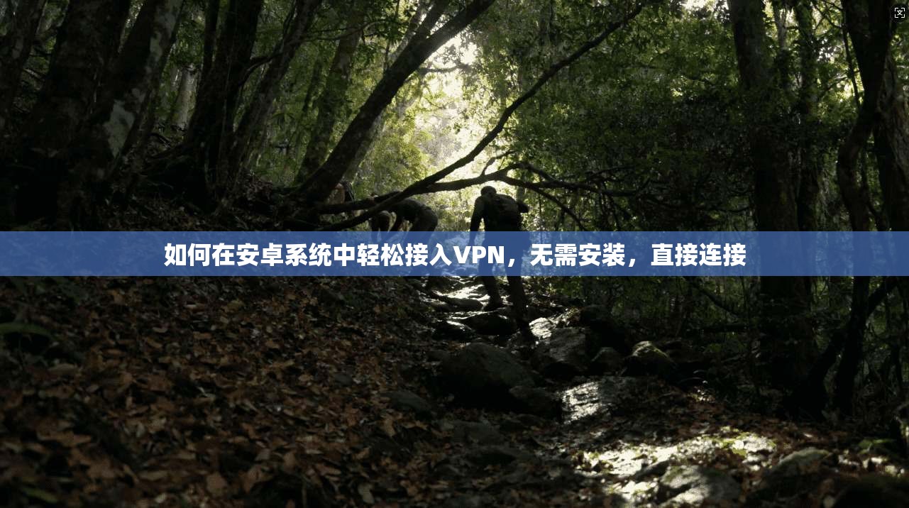 如何在安卓系统中轻松接入VPN，无需安装，直接连接