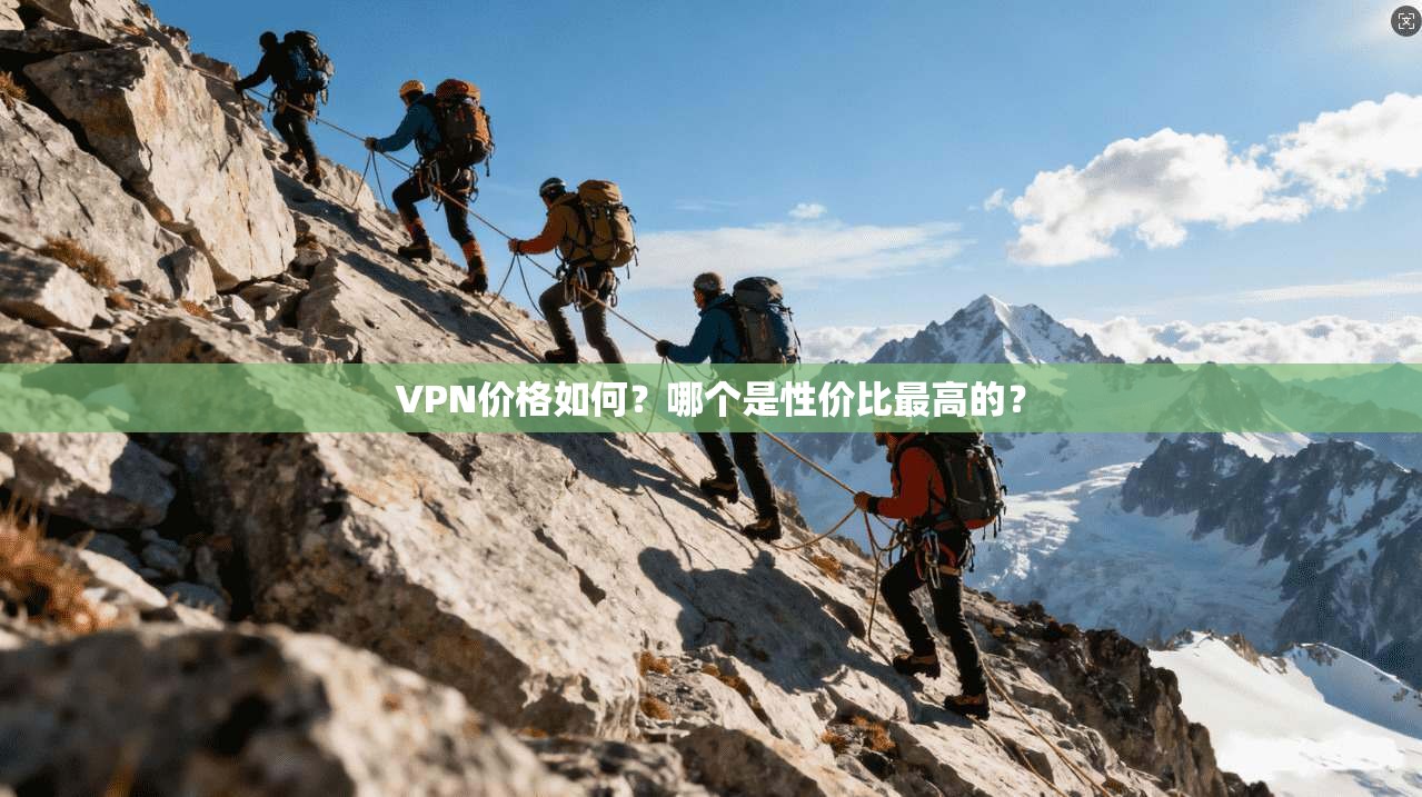VPN价格如何？哪个是性价比最高的？