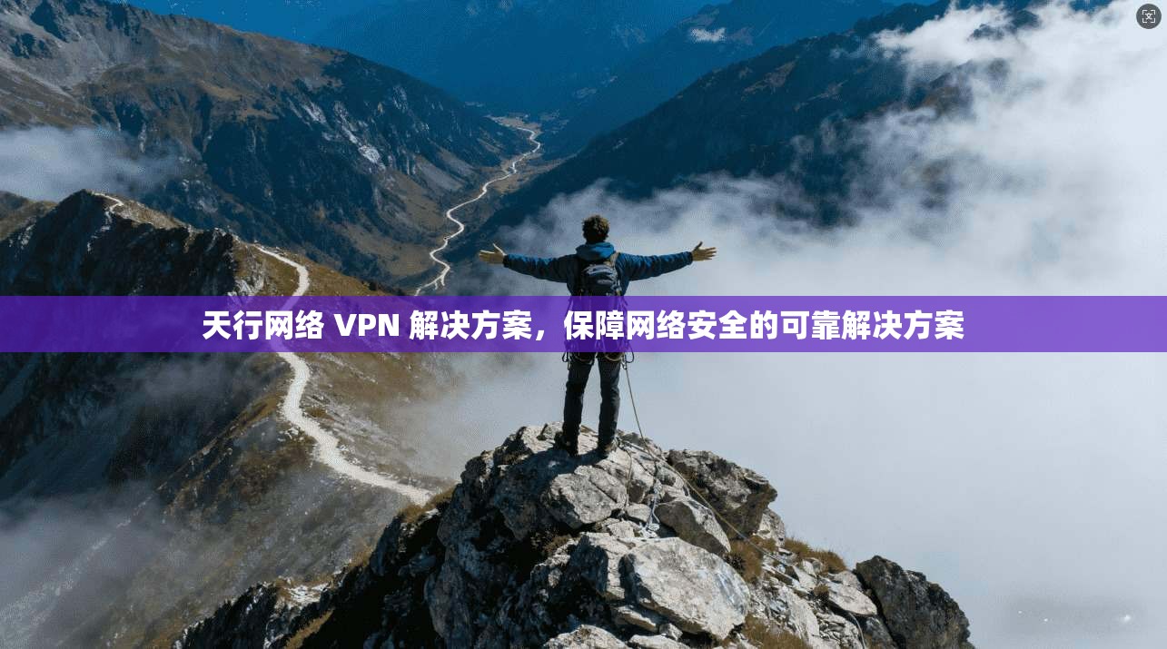 天行网络 VPN 解决方案，保障网络安全的可靠解决方案