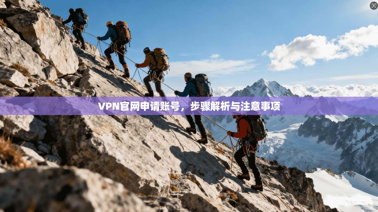 VPN官网申请账号，步骤解析与注意事项