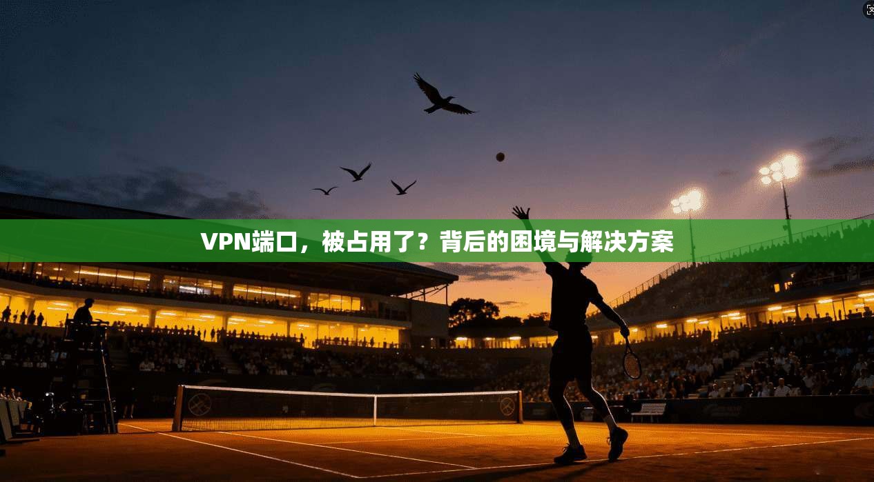 VPN端口，被占用了？背后的困境与解决方案