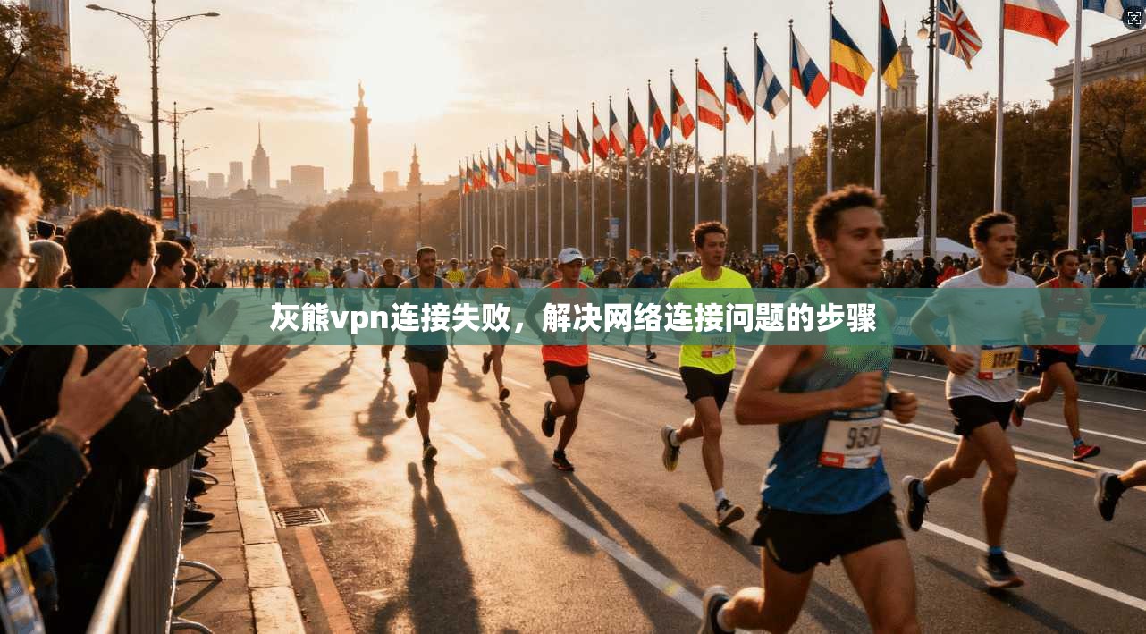 灰熊vpn连接失败，解决网络连接问题的步骤