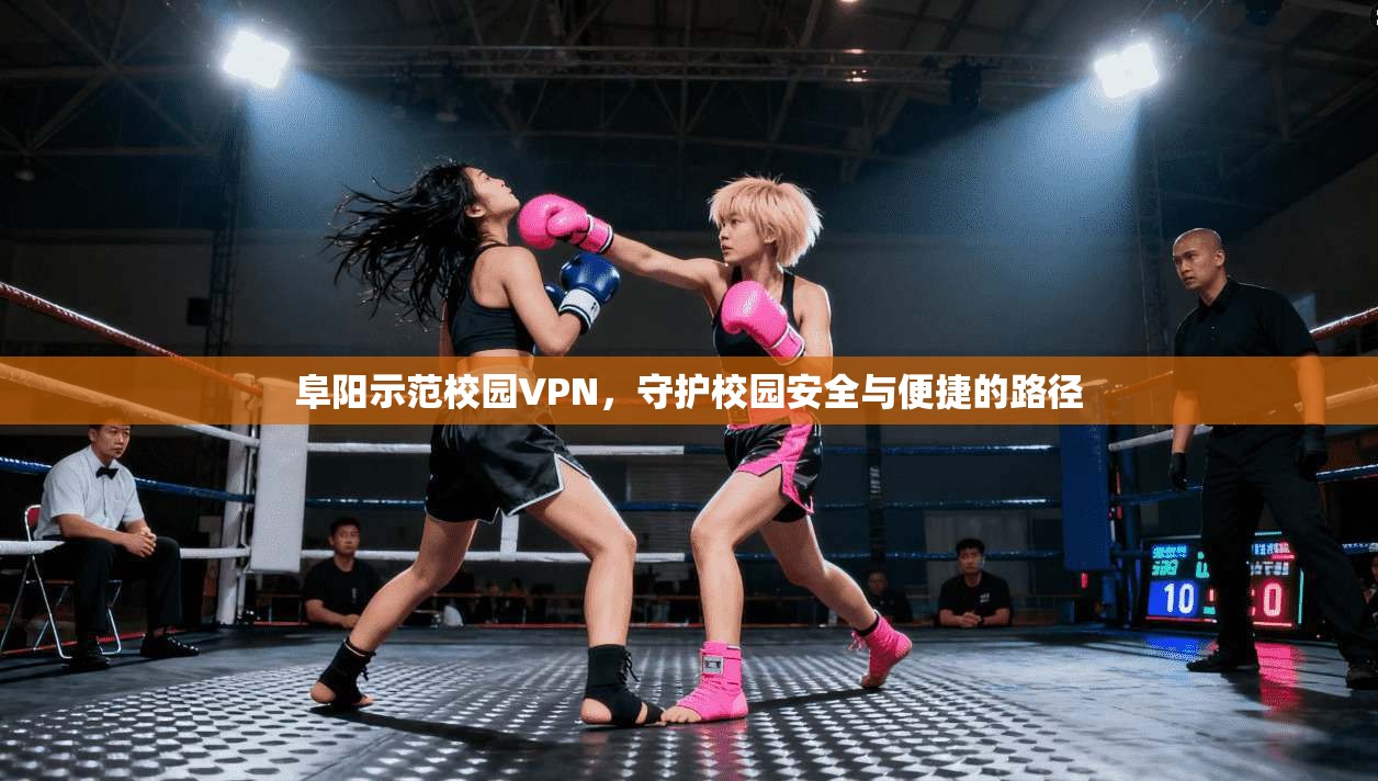 阜阳示范校园VPN，守护校园安全与便捷的路径