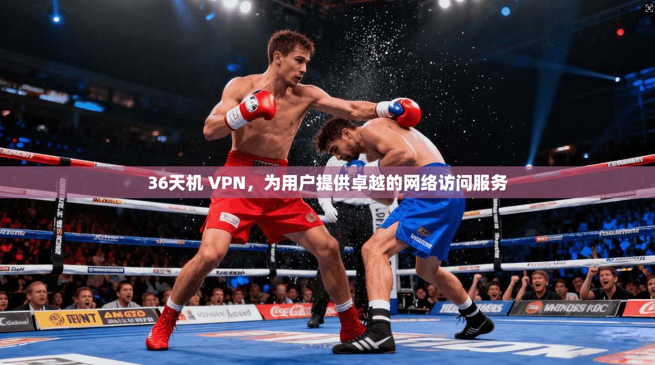 36天机 VPN，为用户提供卓越的网络访问服务