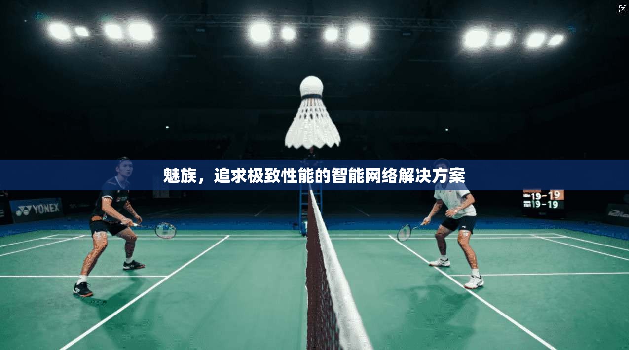 魅族，追求极致性能的智能网络解决方案