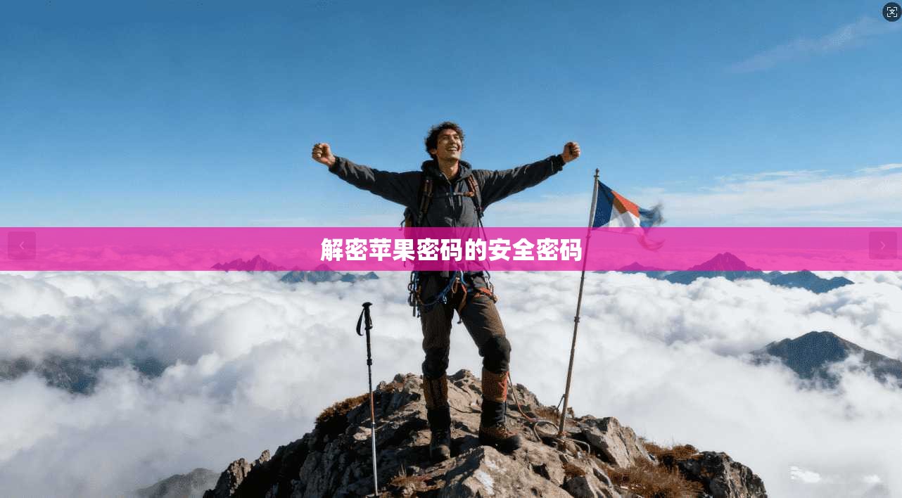 解密苹果密码的安全密码