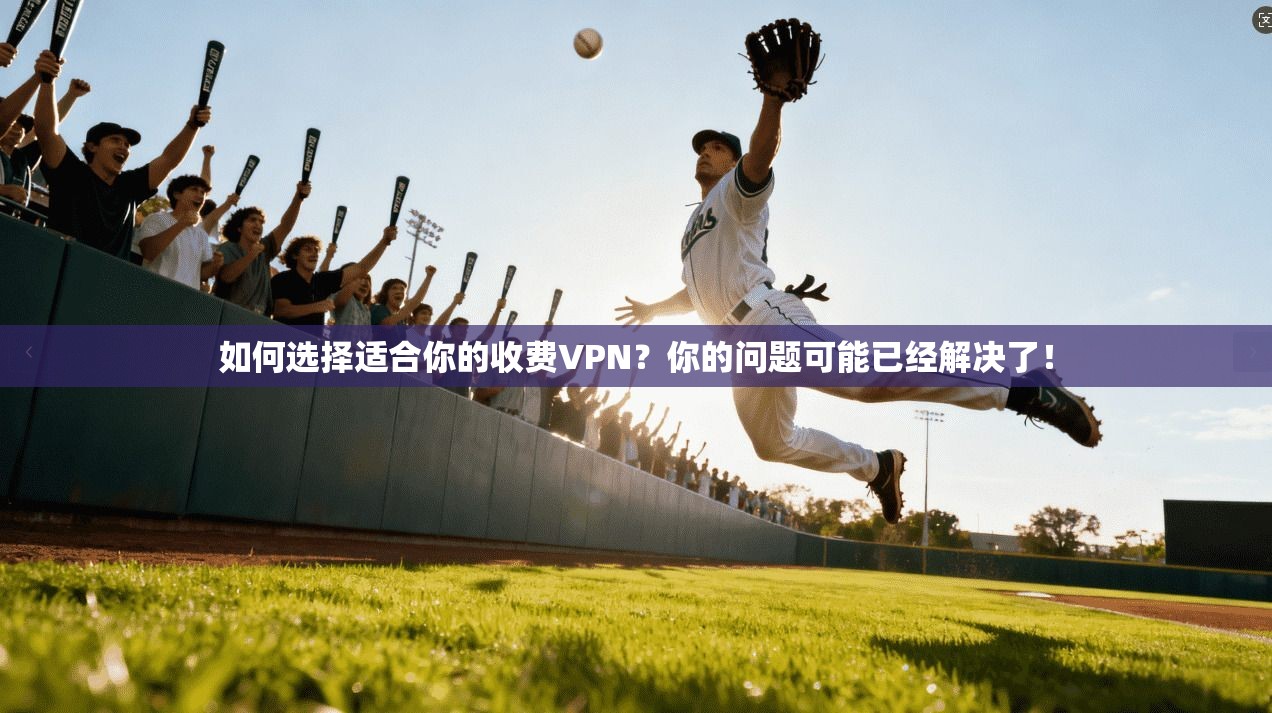 如何选择适合你的收费VPN？你的问题可能已经解决了！  第1张