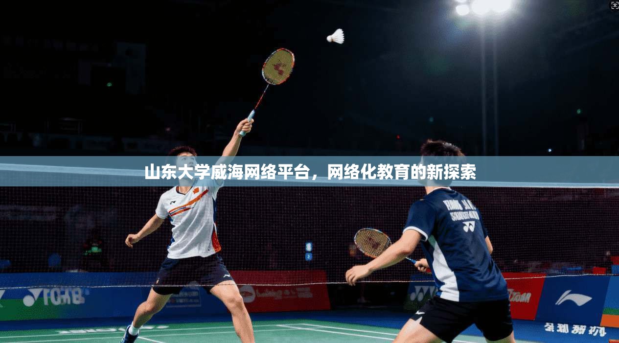 山东大学威海网络平台，网络化教育的新探索