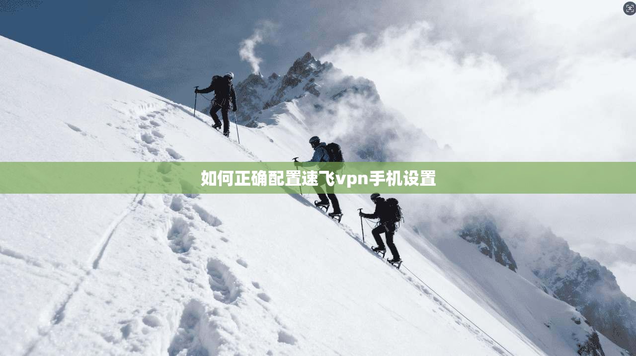 如何正确配置速飞vpn手机设置