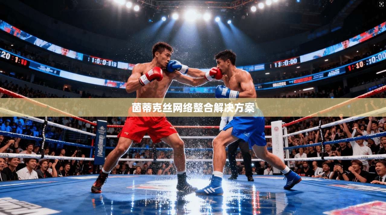 茵蒂克丝网络整合解决方案