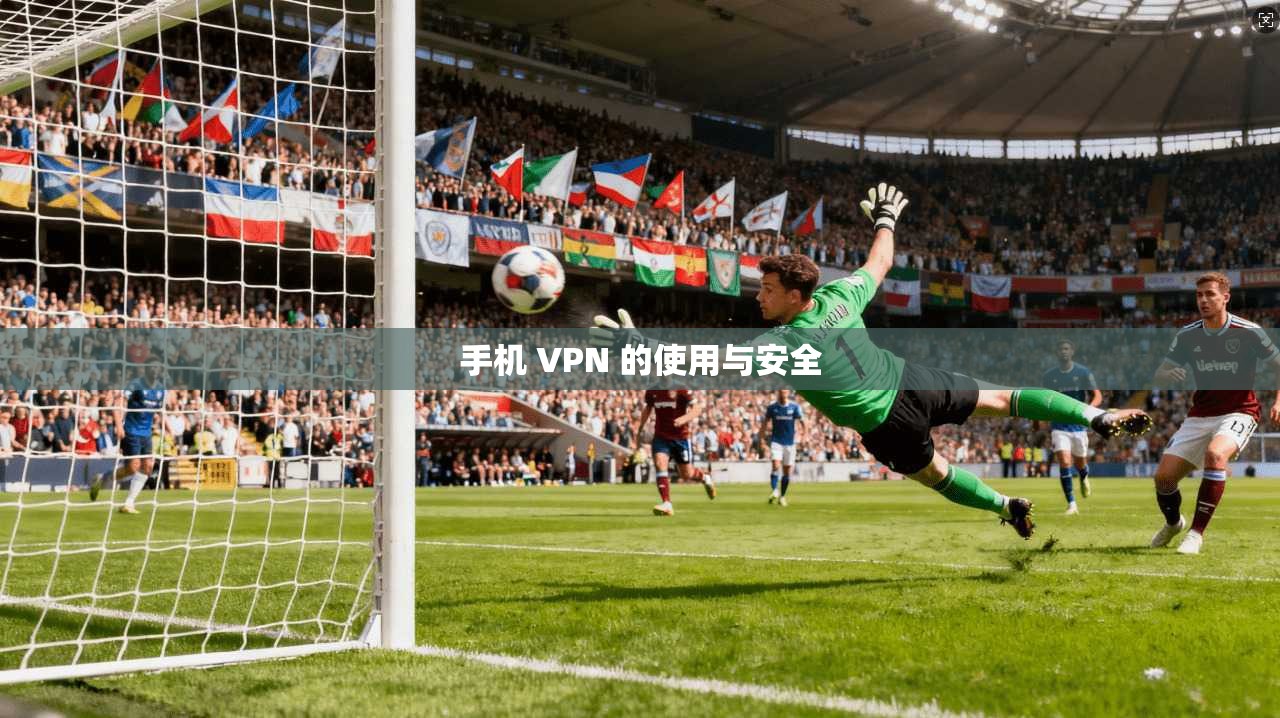 手机 VPN 的使用与安全