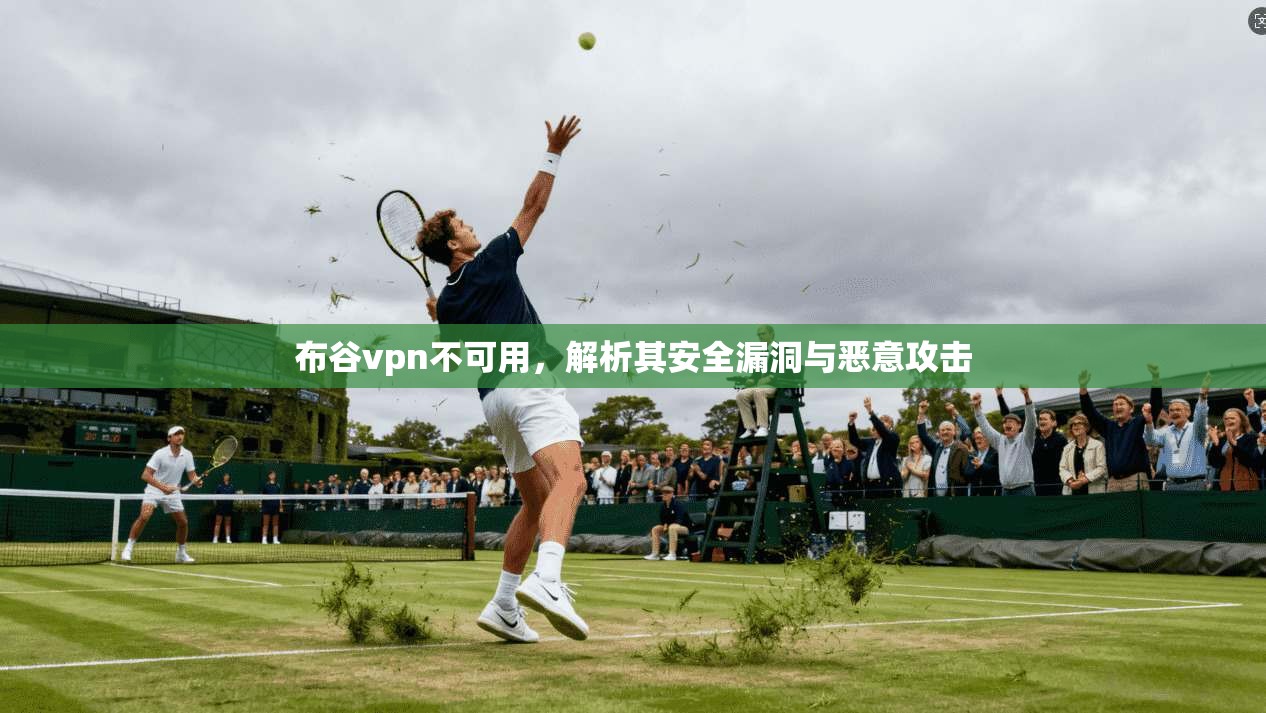 布谷vpn不可用，解析其安全漏洞与恶意攻击