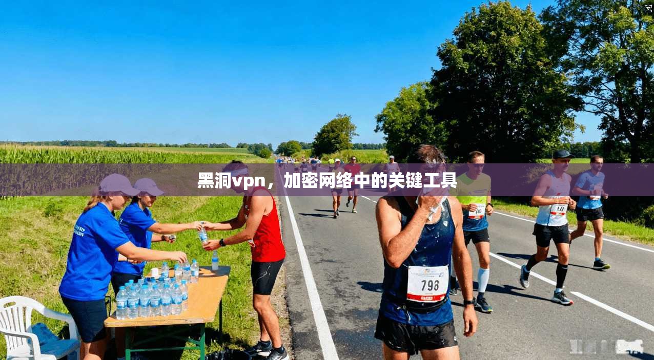 黑洞vpn，加密网络中的关键工具