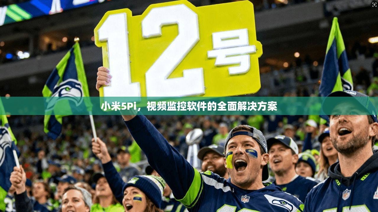 小米5Pi，视频监控软件的全面解决方案