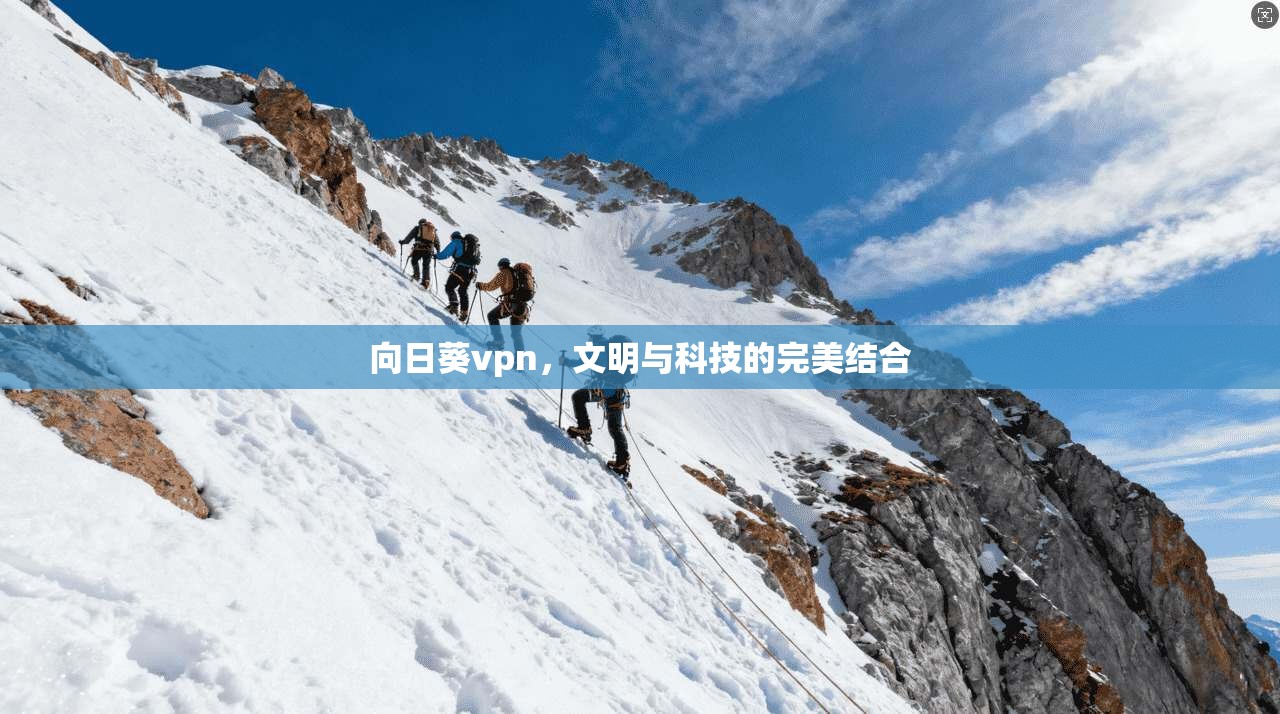 向日葵vpn，文明与科技的完美结合