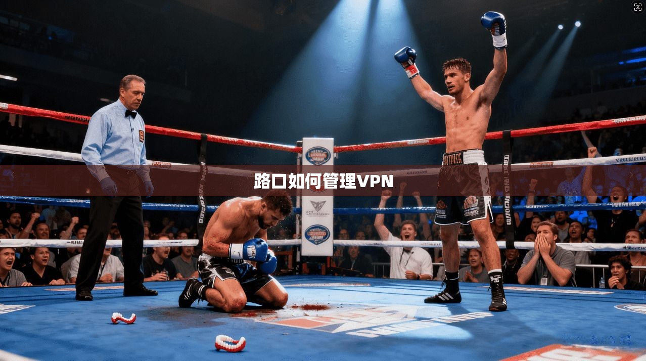 路口如何管理VPN