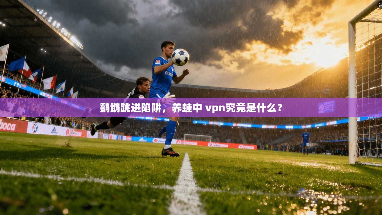 鹦鹉跳进陷阱，养蛙中 vpn究竟是什么？