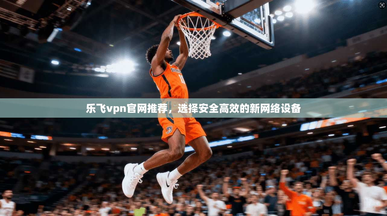 乐飞vpn官网推荐，选择安全高效的新网络设备