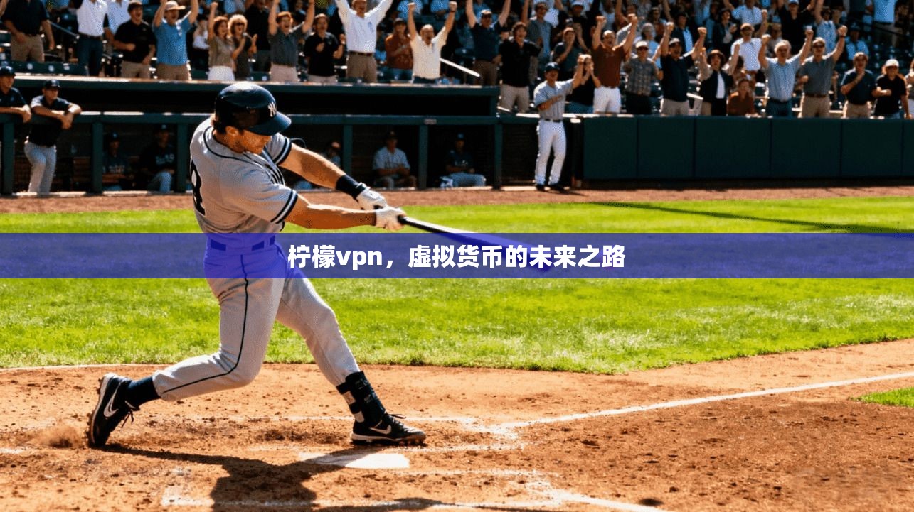 柠檬vpn，虚拟货币的未来之路