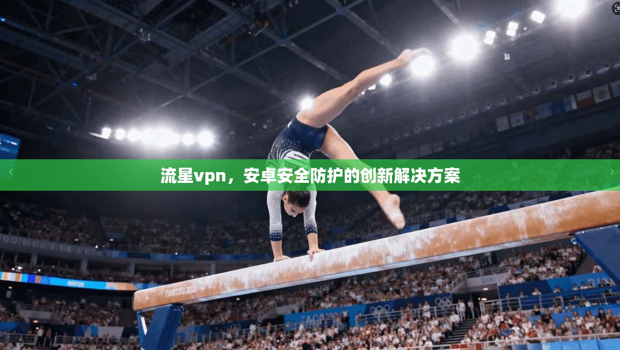 流星vpn，安卓安全防护的创新解决方案