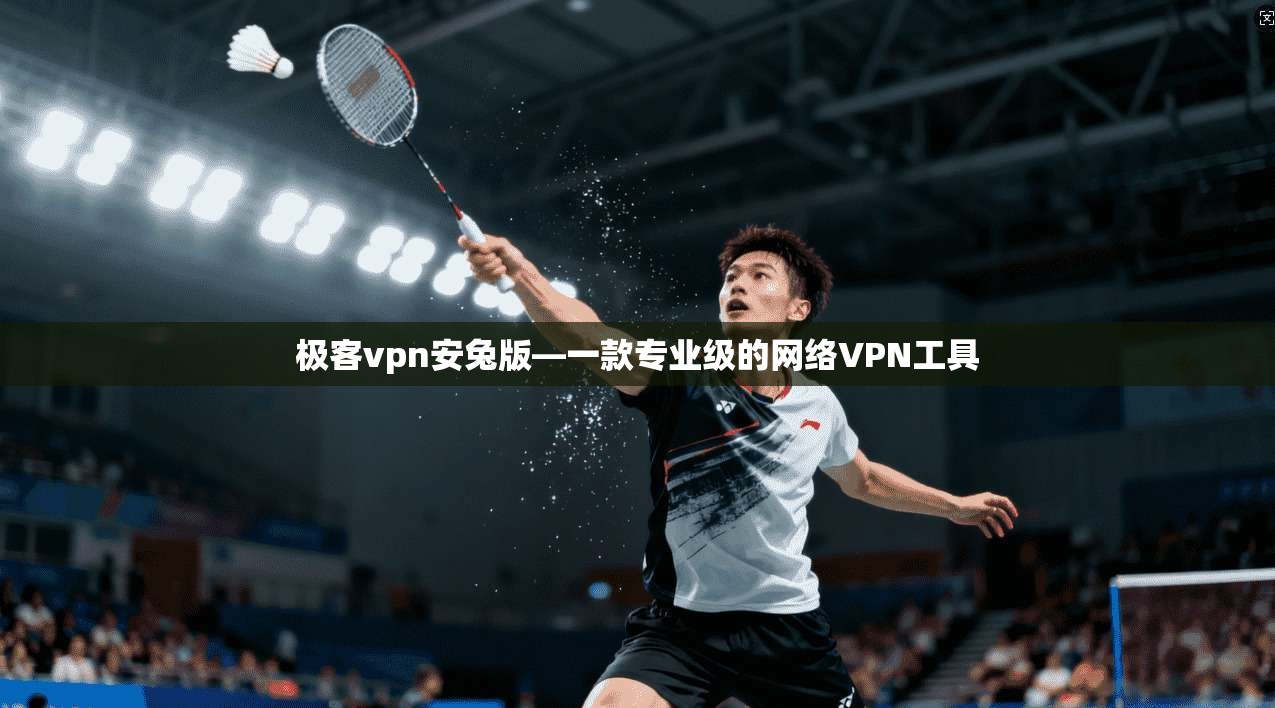 极客vpn安兔版—一款专业级的网络VPN工具