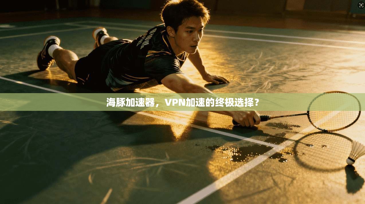 海豚加速器，VPN加速的终极选择？