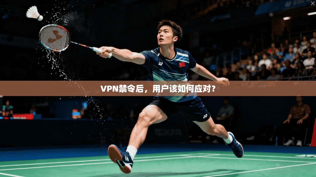 VPN禁令后，用户该如何应对？