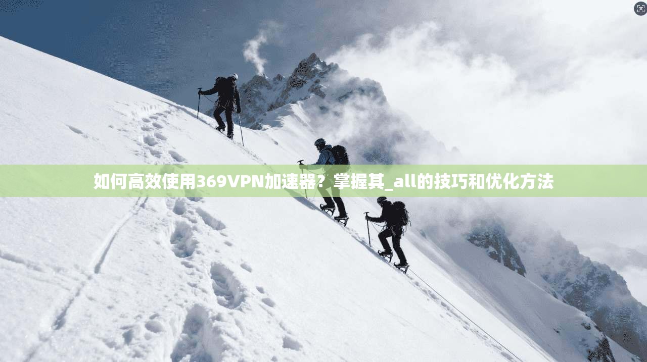 如何高效使用369VPN加速器？掌握其_all的技巧和优化方法