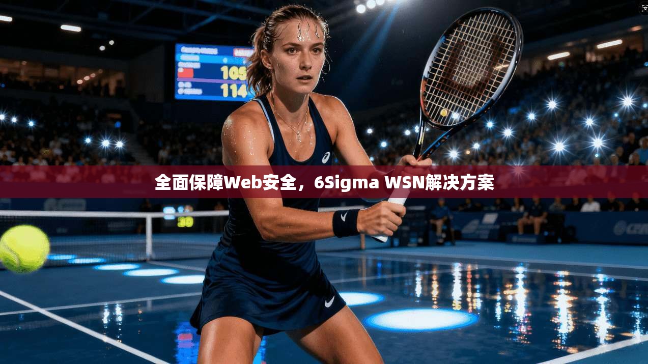 全面保障Web安全，6Sigma WSN解决方案  第1张