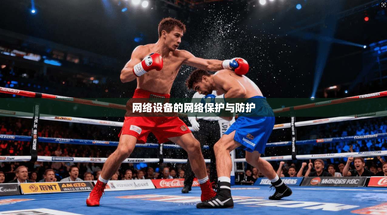 网络设备的网络保护与防护  第1张
