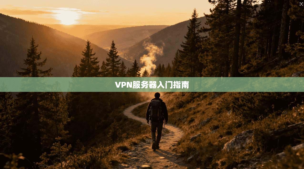 VPN服务器入门指南