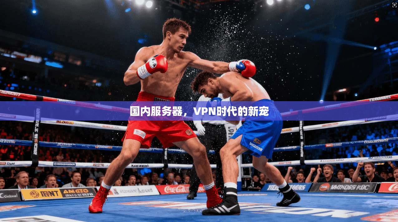 国内服务器，VPN时代的新宠