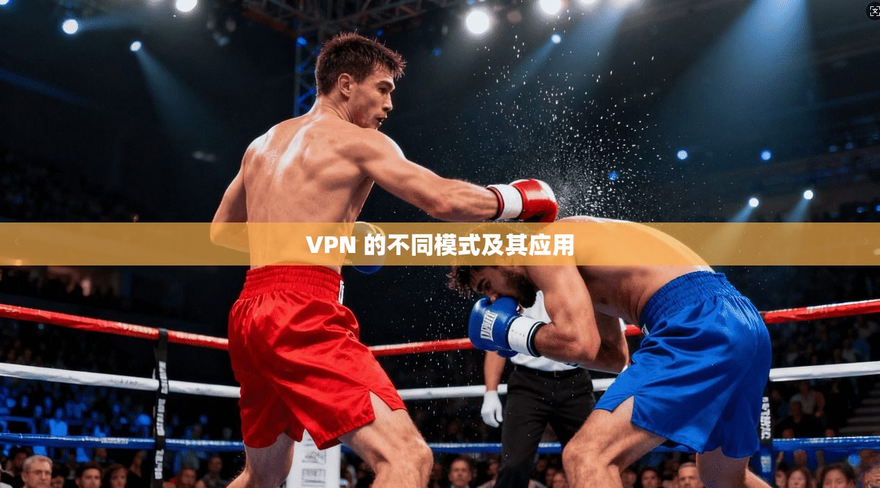 VPN 的不同模式及其应用