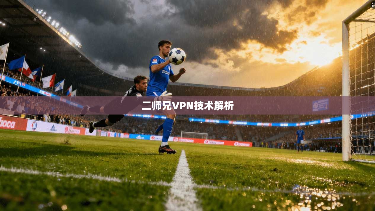 二师兄VPN技术解析