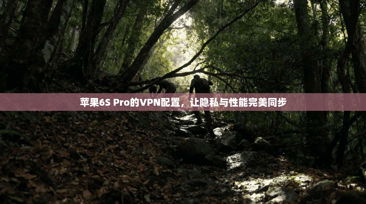 苹果6S Pro的VPN配置，让隐私与性能完美同步