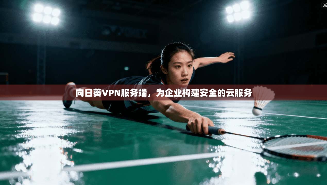 向日葵VPN服务端，为企业构建安全的云服务