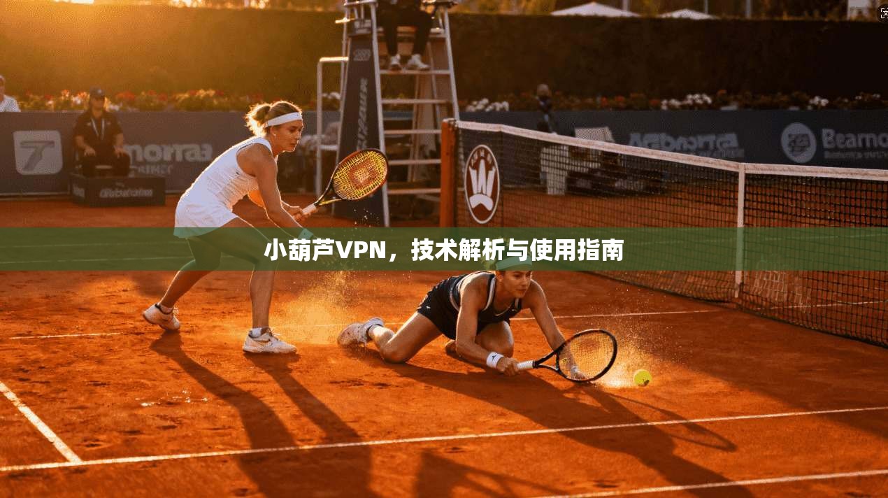 小葫芦VPN，技术解析与使用指南