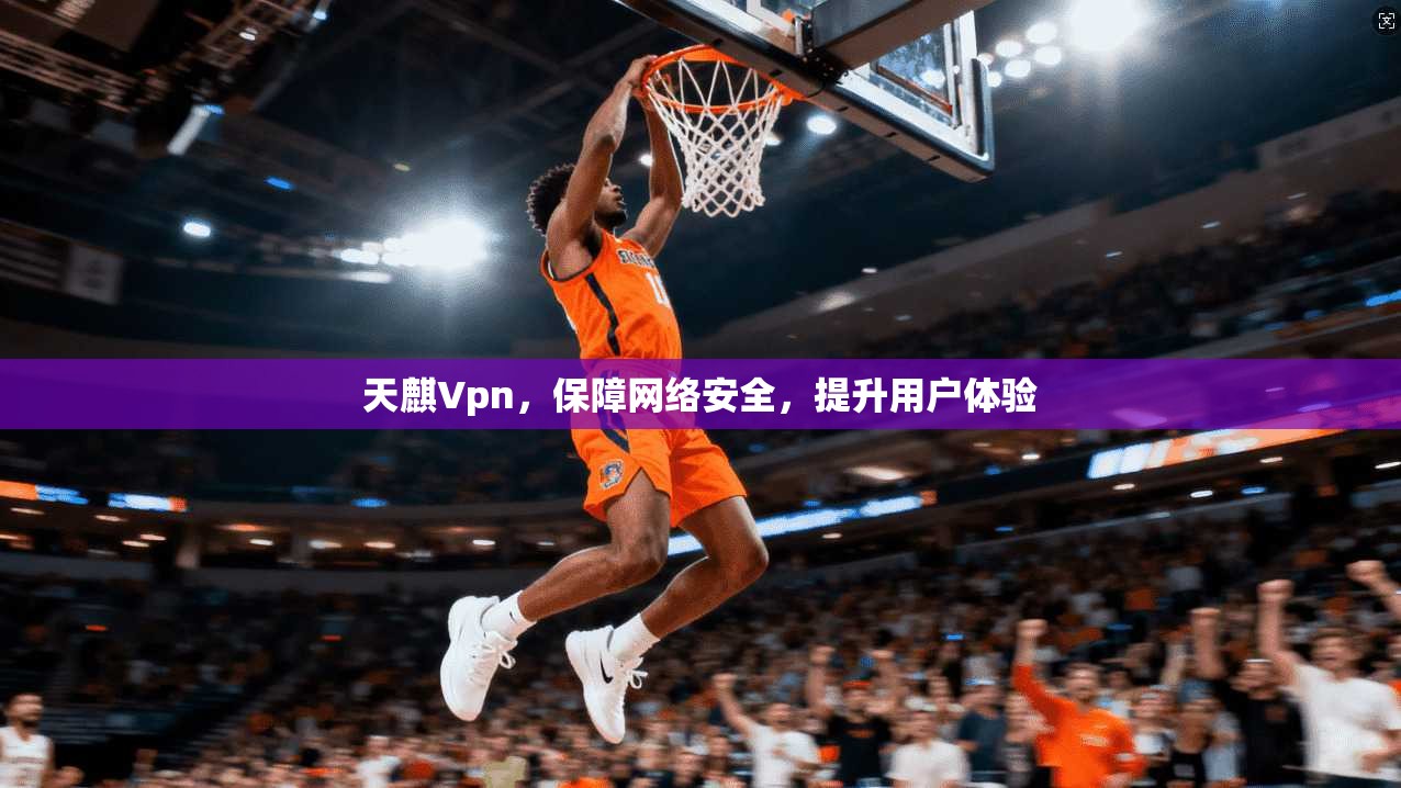 天麒Vpn，保障网络安全，提升用户体验