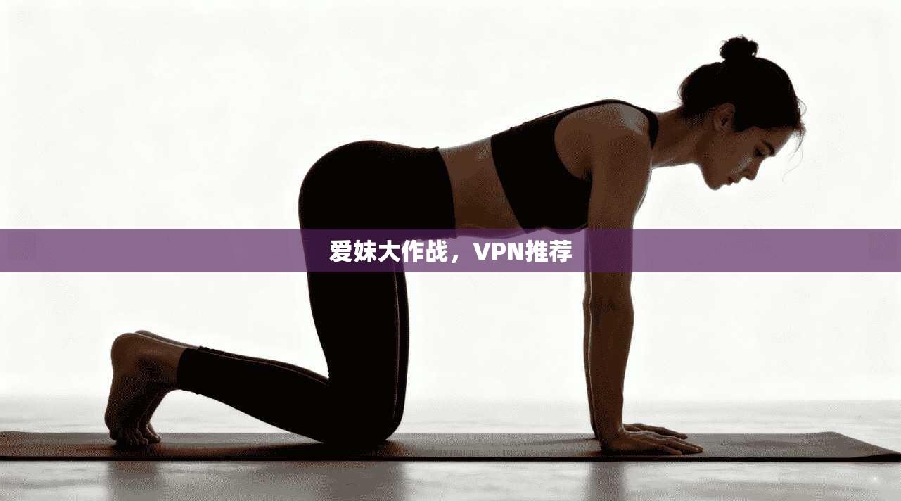 爱妹大作战，VPN推荐