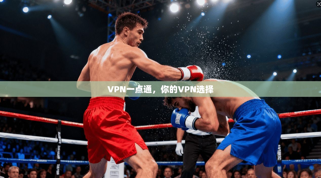 VPN一点通，你的VPN选择