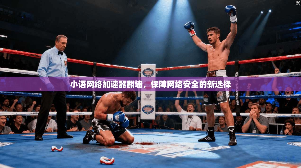 小语网络加速器翻墙，保障网络安全的新选择