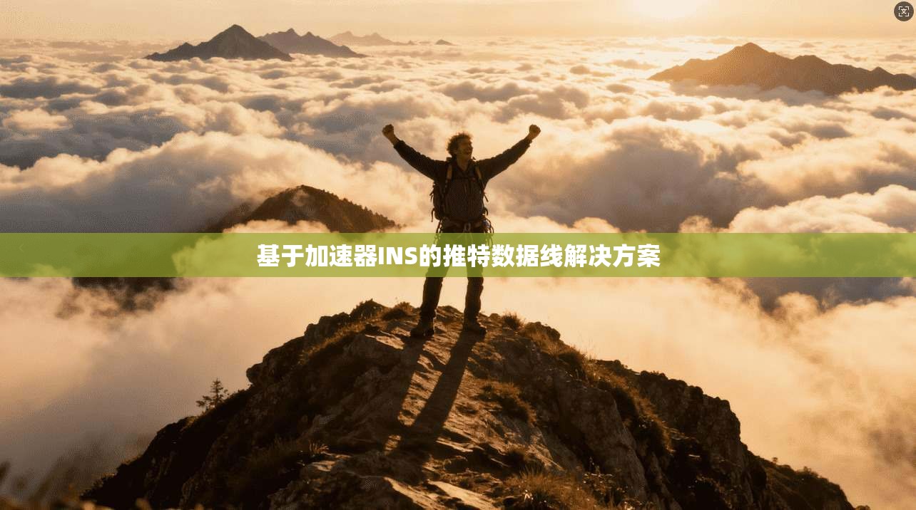 基于加速器INS的推特数据线解决方案