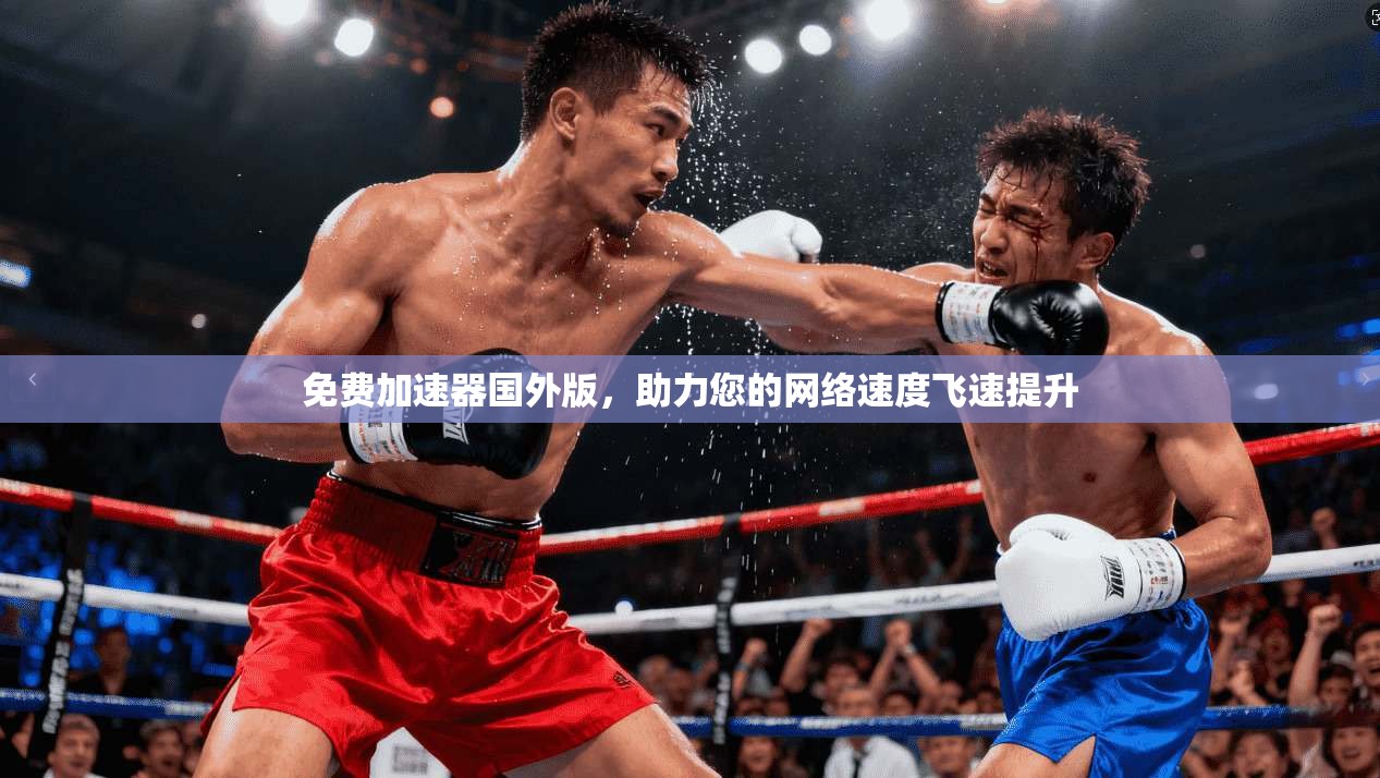 免费加速器国外版，助力您的网络速度飞速提升