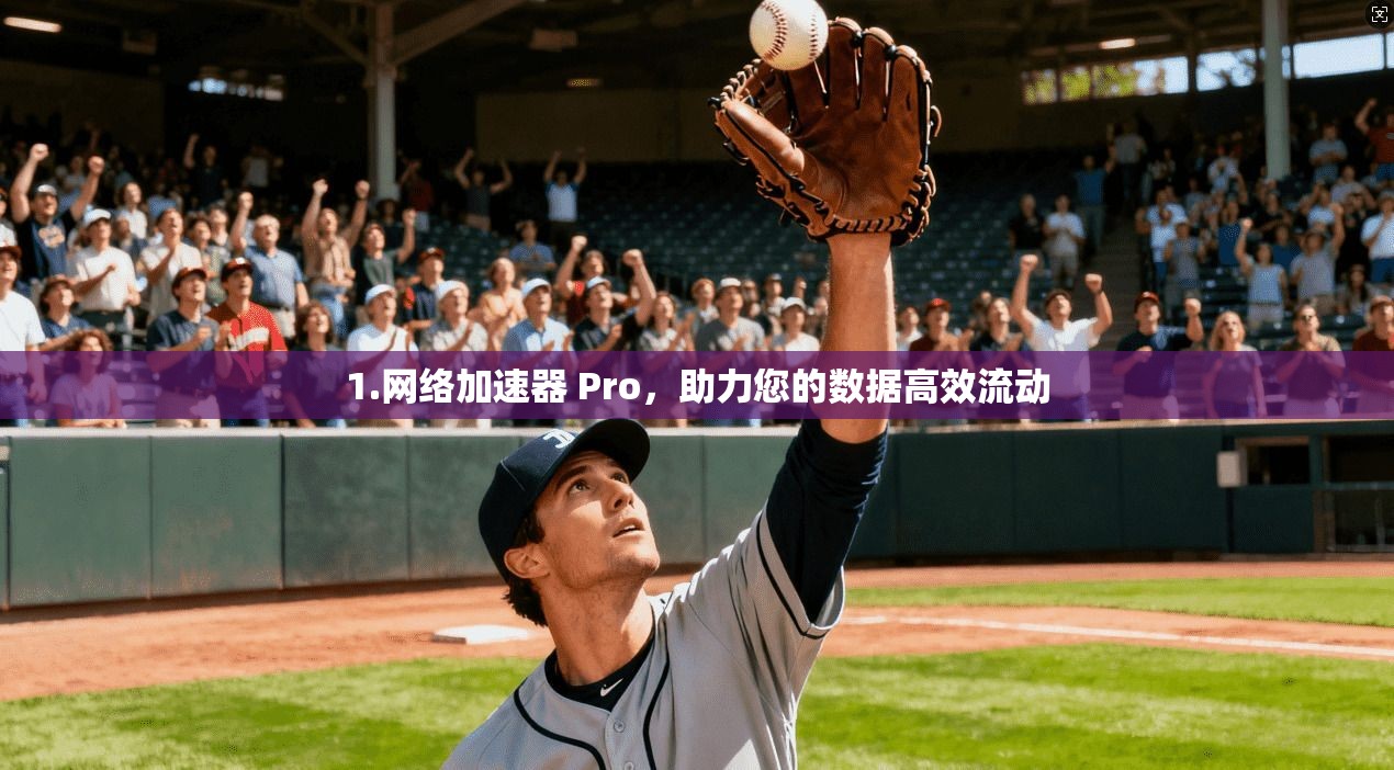 1.网络加速器 Pro，助力您的数据高效流动