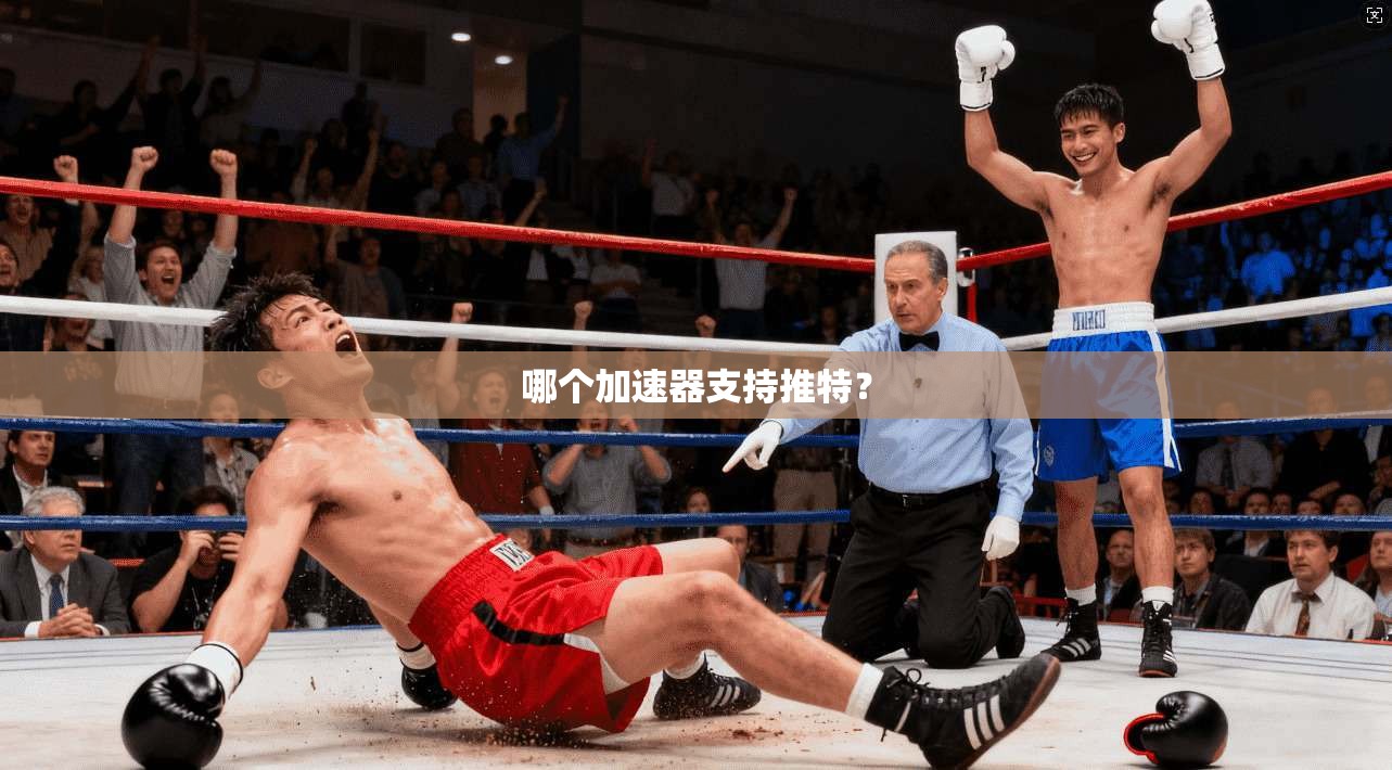 哪个加速器支持推特？